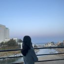 강릉비치힐펜션 | 경포대펜션 강릉 비치힐펜션 강릉 오션뷰 신축 펜션