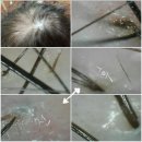 오땡큐머리염색 - 달서구 진천동 | 오땡큐머리염색