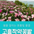 12월 31일(화) 밤출발/여수 낭만 낭도섬!!~~ /새해 일출여행 ♡50,000/ 36석리무진운행 이미지