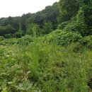 남한산성면-5 이미지