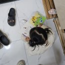 다니엘수학교습소 | 모든 것이 적당해서 좋은 요즘 / 육아일상 육아서적추천
