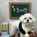 까까 멍 이미지