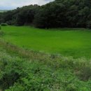 여주-0703 Daum카페