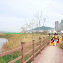 낙동강체육공원 인라인스케이트장, 게이트볼장 이미지