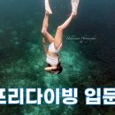 수프리다이빙
