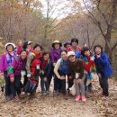 계족산황톳길 이미지