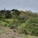 미현리농장 이미지