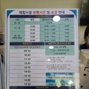하이원리조트 추추파크 스위치백트레인 탔어용! 흥전 삭도마을까지 가봅시다.