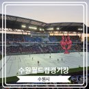 [수원월드컵경기장] OGFC VS 수원삼성 레전드매치 1등석 직관 후기