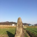 진주 대천리 입석 이미지
