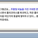 와와랜드