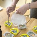 청룡병설유치원 이미지