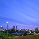 (주)씨티팜 이미지