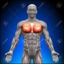 부평PT 오늘의운동 이미지