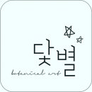 닻별아트 이미지