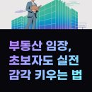 부동산기초와투자접근법 | 부동산 임장 뜻, 발품이 답이다! 초보자도 실전 감각 키우는 법