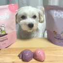 [체험단]🐶 휴먼그레이드 프리미엄 수제 간식- 와글리(Waggly) 🐶