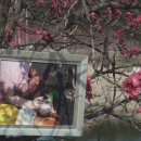 장덕2리 이미지