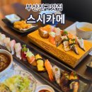 7018 | 부산진구맛집 당감동 스시카메 점심특선메뉴 시그니처초밥 특선초밥먹고온후기
