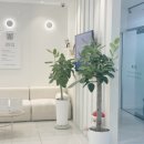 서울메이트치과의원 이미지