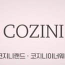 코지니랜드