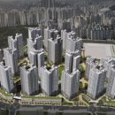 포레온서울약국 이미지