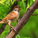 갈산고등학교 이미지