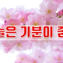 기분이 좋아