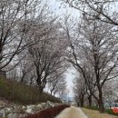 바람길숲