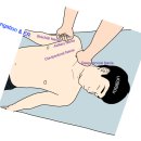 ＜롤핑자세연구소＞ 9월 FI 1 [Unit 2] Spine, Shoulder Girdle &amp; Upper Extremity 세미나 이미지