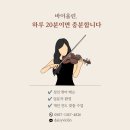 데이지바이올린