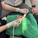 이바른치과기공소 이미지