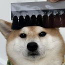 유닝