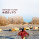 주식회사 한국교육여행사 | 몽골 여행사 비교 4박5일 중부투어 추천 일정