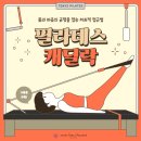 대전캐딜락 | 대전필라테스강사 지도자과정 캐딜락 후기!