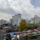 한신, 금호사이 이미지