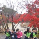 호암자동차 이미지