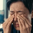 비전 | 40대 비문증, 루노비전 후기 3개월 먹고 달라진 점