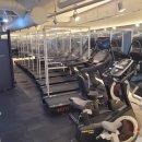 바디플렉스짐 이미지