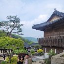 남한산성토종닭 이미지