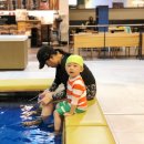 성동장 이미지