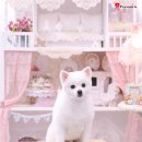 아콩하우스 이미지