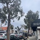 MENDO FARMS | 섬/엄마의날/맨도시노팜스/반미샌드위치/Balboa Island/Mother's Day/Mendocino Farms/Banh Mi Sandwiches