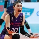 김연경 카카오 검색결과