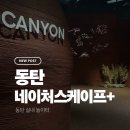 동탄 아이랑 가볼 만한 곳, 네이처스케이프 플러스 솔직 후기