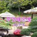 신경자 이미지