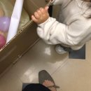 사라앤마르코 이미지