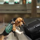 농림축산검역본부 서울지역본부 이미지