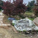 단풍농장 이미지