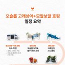 로컬페이지 네이버블로그